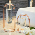 Rose Gold Metal Stand Clear Tube Glass Vases